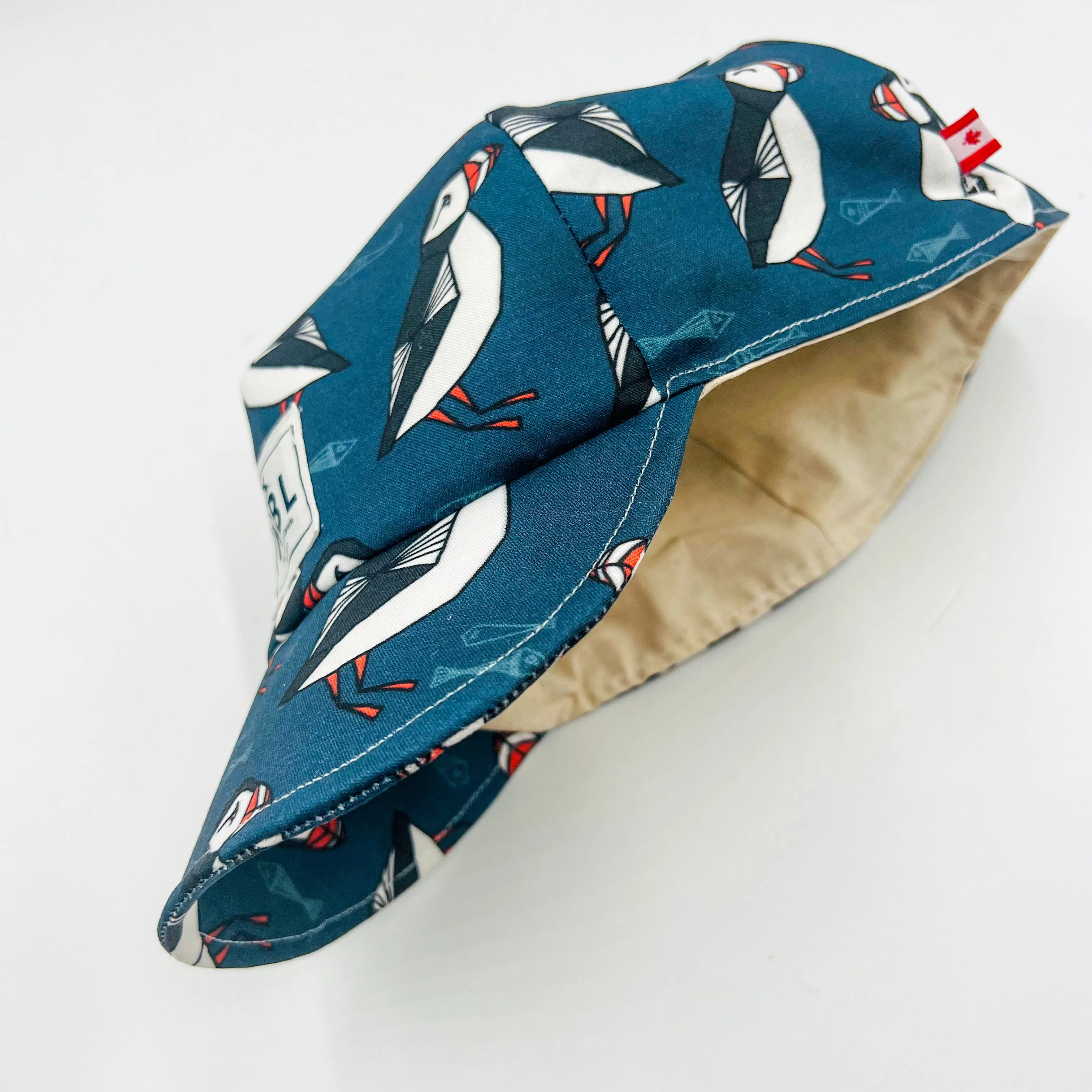 Adult Baseball Cap (Blue Puffin)