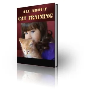All About Cat Training - Tips and Techniques for a Well-Behaved Feline!