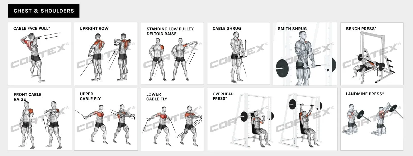 CORTEX SM-25 6-in-1 Power Rack with Smith & Cable Machine   BN-6 Bench   130kg Olympic Weight Plate & Barbell Package