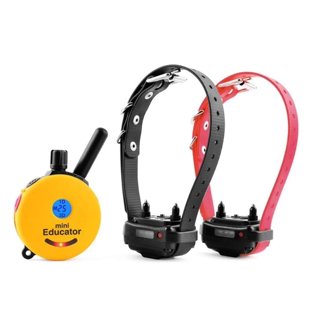 ET 302 MINI REMOTE 2-DOG TRAINER