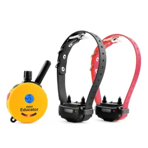 ET 302 MINI REMOTE 2-DOG TRAINER