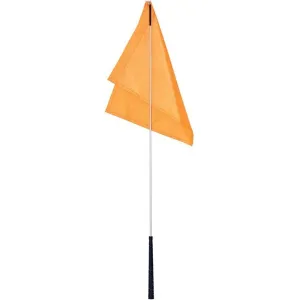 Flag Training Stick