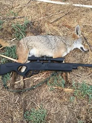 HATSAN VECTIS PCP AIR RIFLE SYNTH 5.5MM