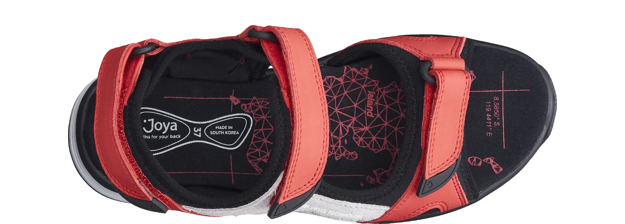 Komodo red