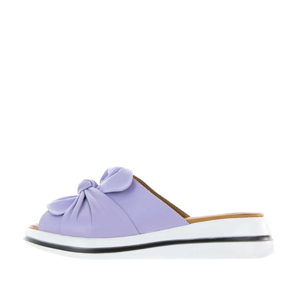 Le sansa Salsa Lilac