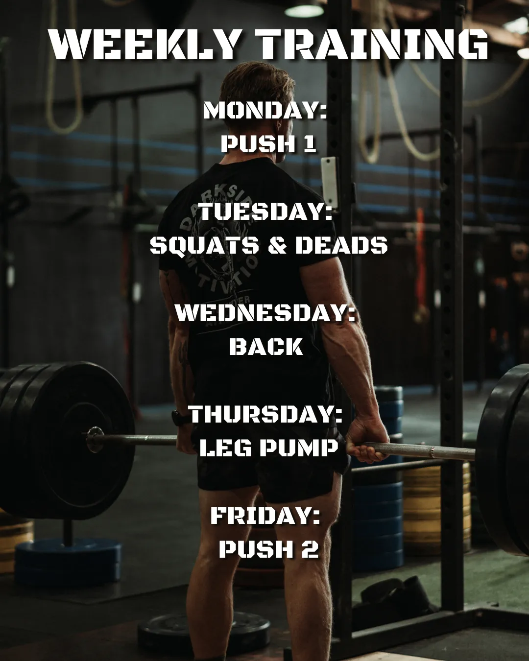 Mass Monster Program V2