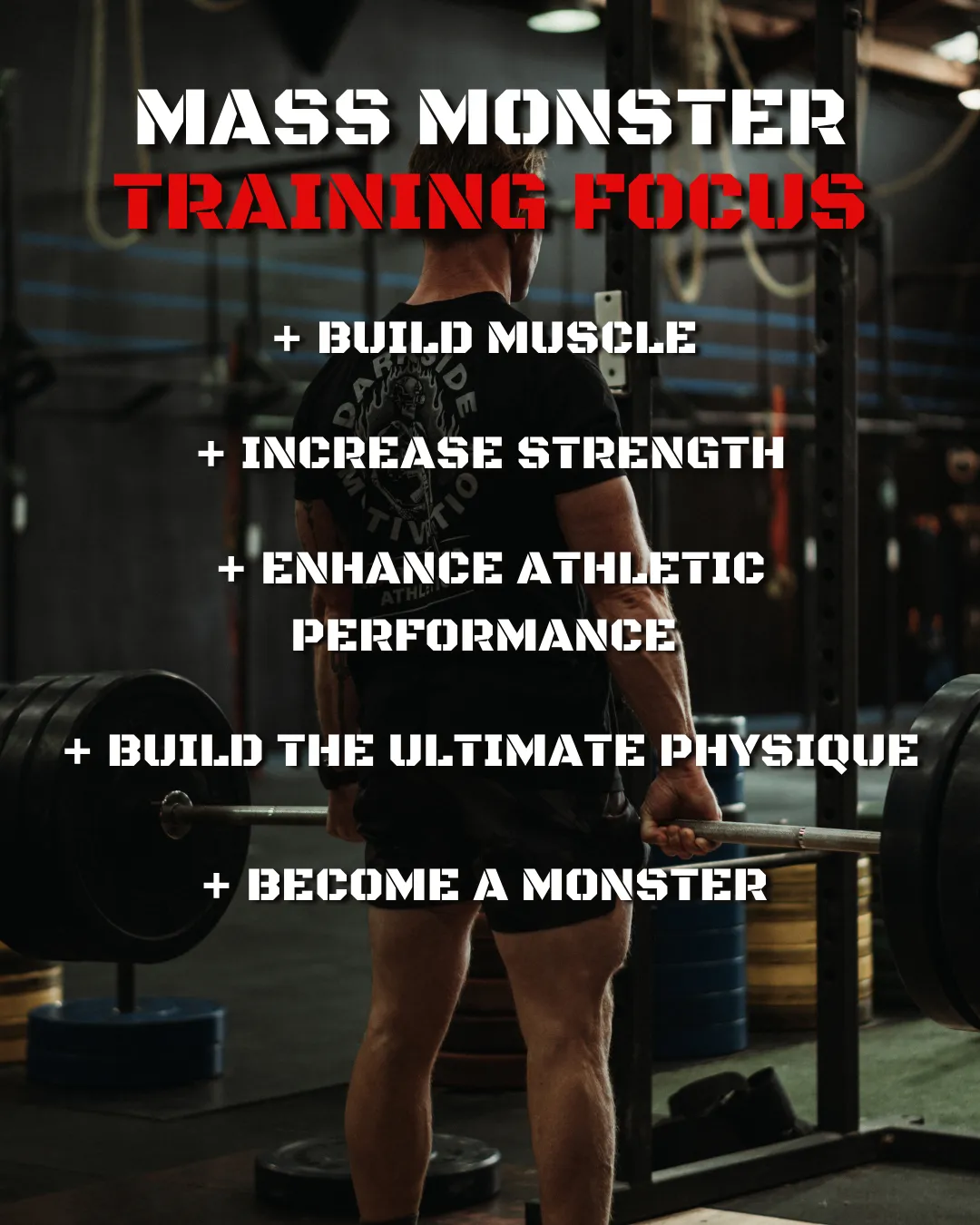 Mass Monster Program V2