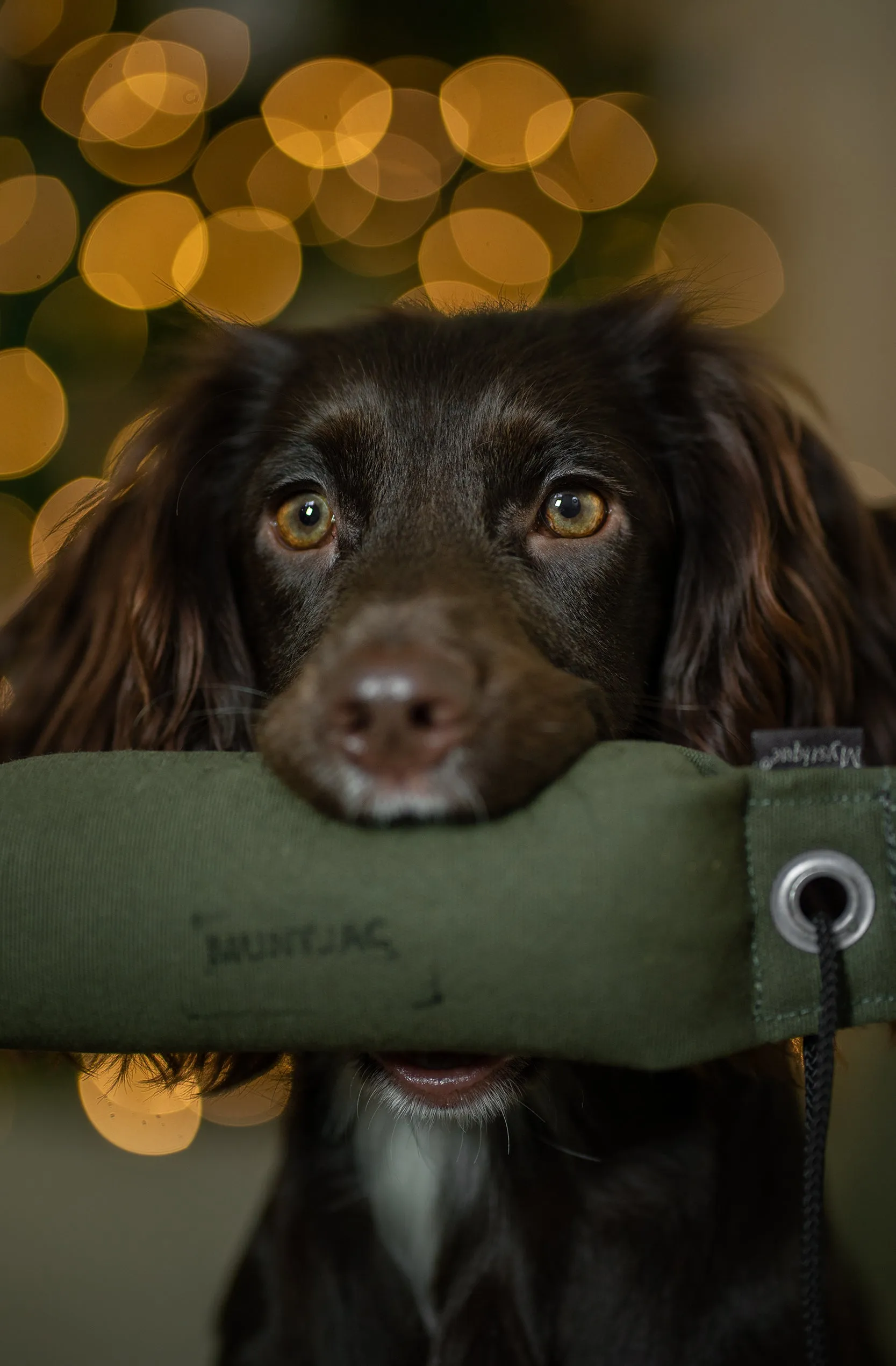 Mystique® Technical Gun Dog Dummies (250g)