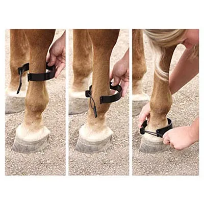Paw-B-Gone Ankle Bands