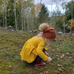 Pom Fall Beanies