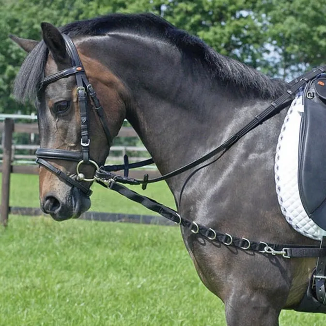 Web Side Reins with Elastic